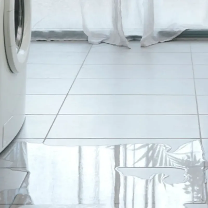 Appliance Leak Cleanup in Bastrop County, TX