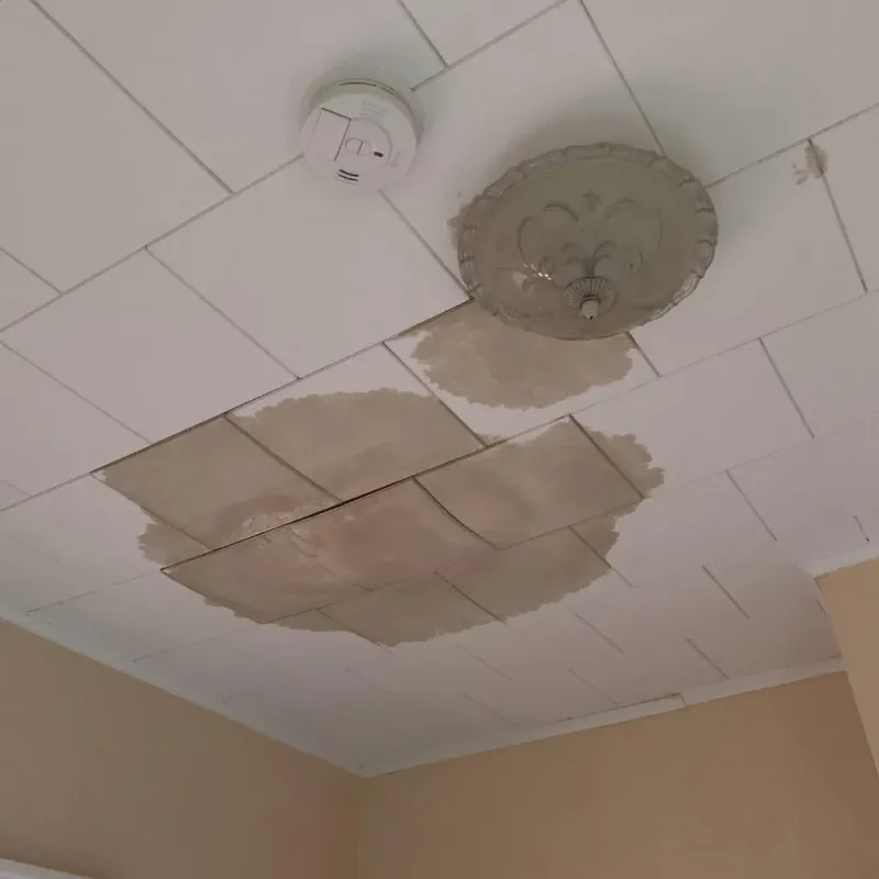 Ceiling Water Damage Repair in Bastrop County, TX