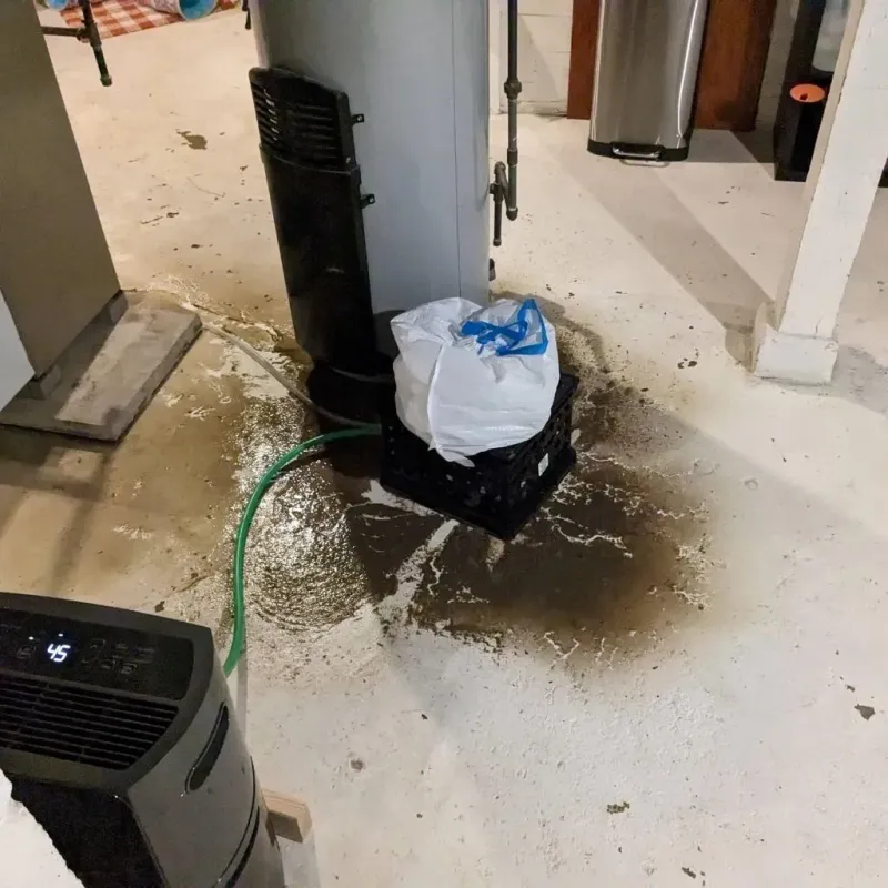 Sewage Backup Cleanup Service in Bastrop County, TX